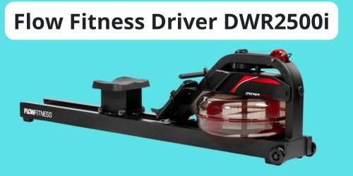Flow Fitness Driver DWR2500i